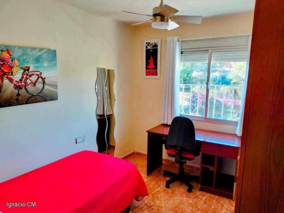 Apartamento En Pleno Centro De مالقة المظهر الخارجي الصورة